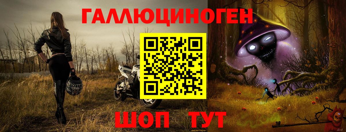Галлюциногенные грибы Cubensis Киселёвск