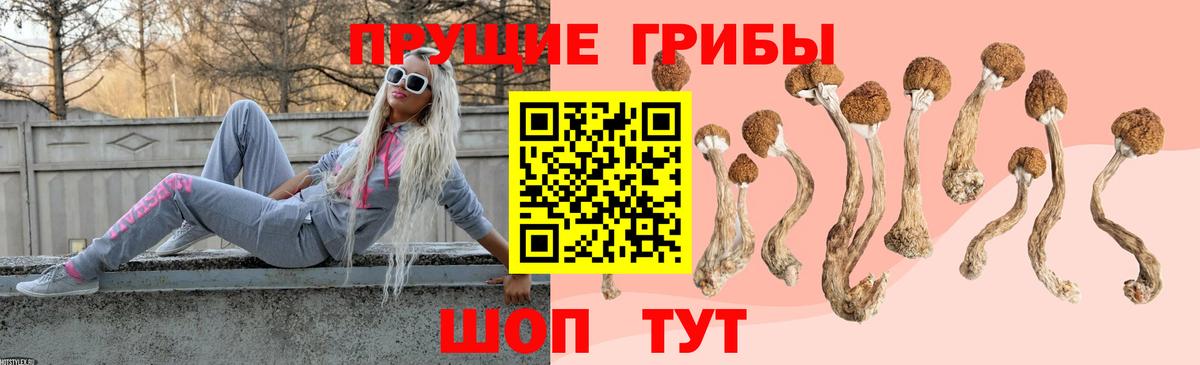 даркнет сайт  Вход с VPN  Киселёвск  Псилоцибиновые грибы Cubensis 