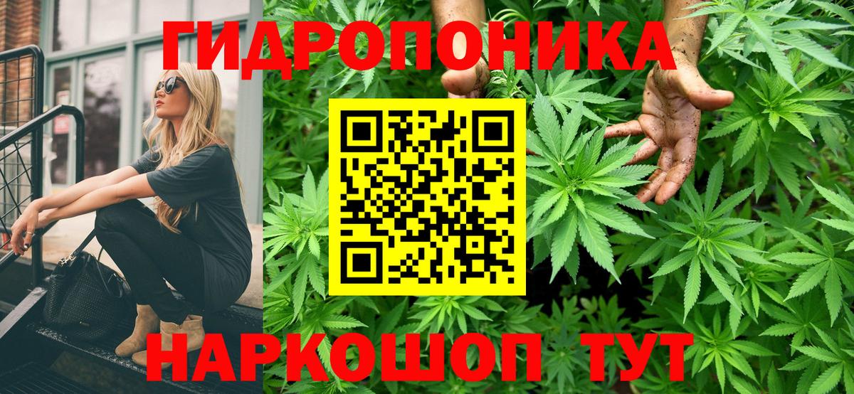 Шишки марихуана марихуана Киселёвск